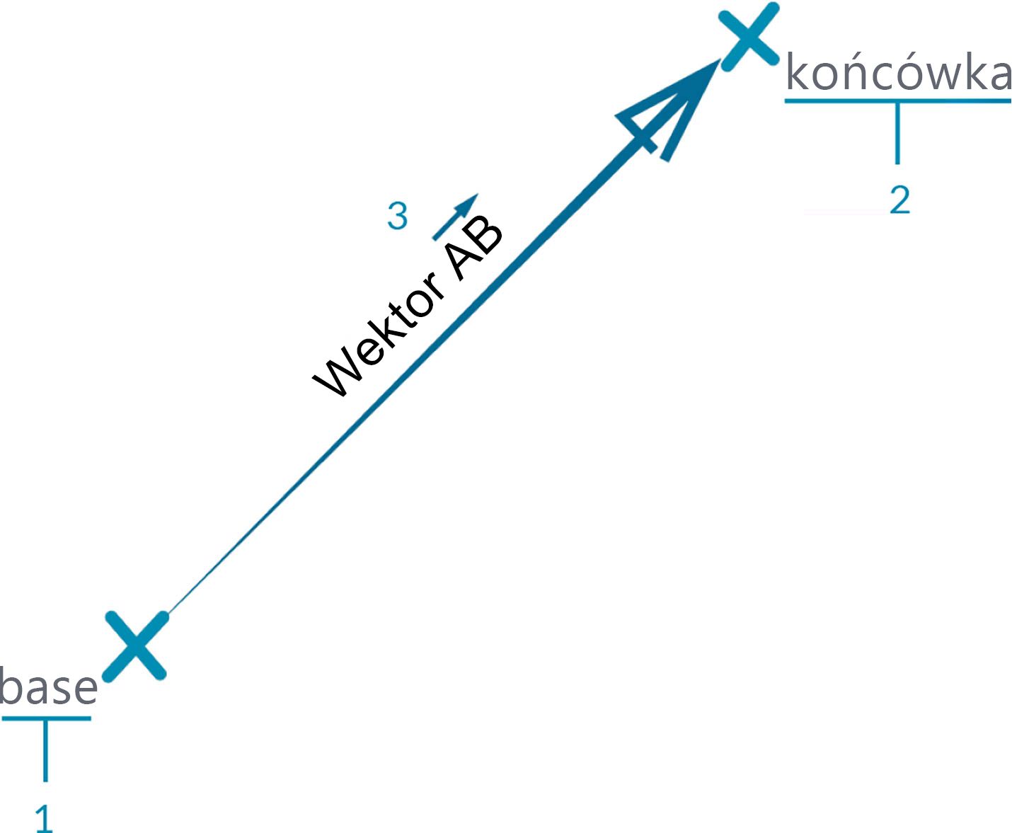 Wektor